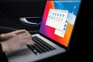 office 365 vs office 2019 vs office 2016